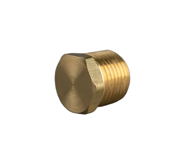 1/2in Brass Hex Plug