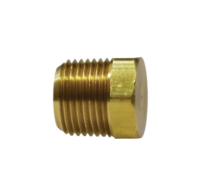 1/8in Brass Hex Plug