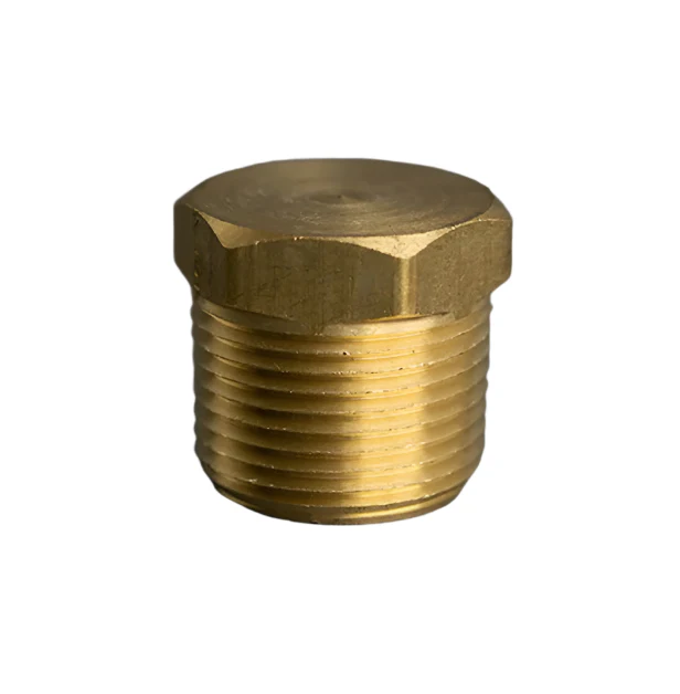 3/4in Brass Hex Plug
