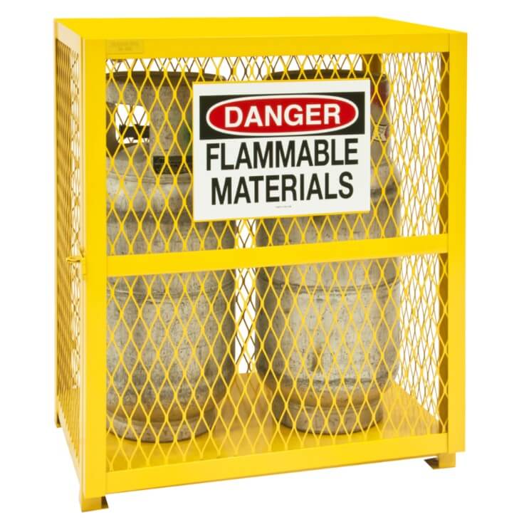 Cabinet with 2 Cylinder Vertical Gas Storage