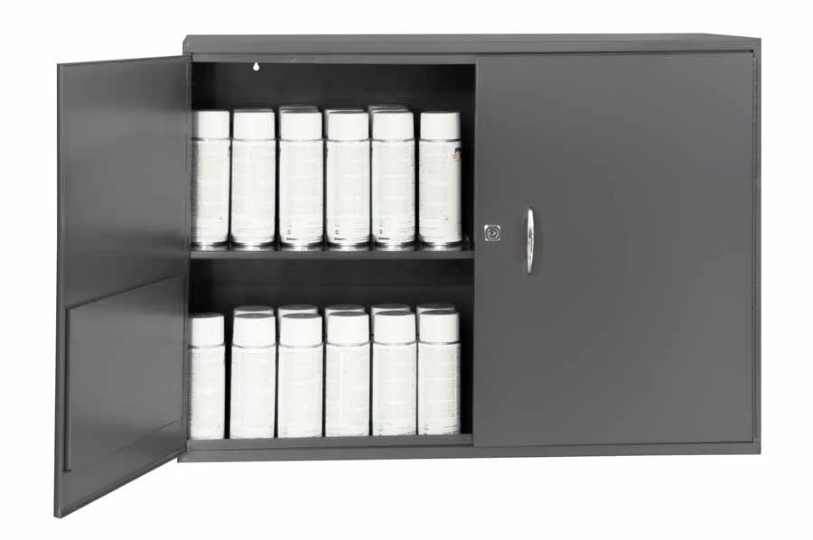 Wall Mounted Aerosol Storage Cabinet